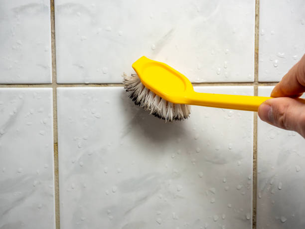 Best Basement Mold Remediation in Man, IL
