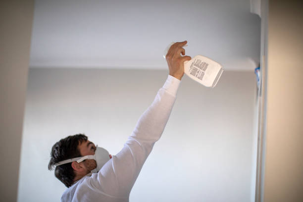 Best Industrial Mold Remediation in Man, IL