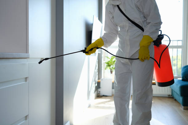 Best Kitchen Mold Remediation in Man, IL