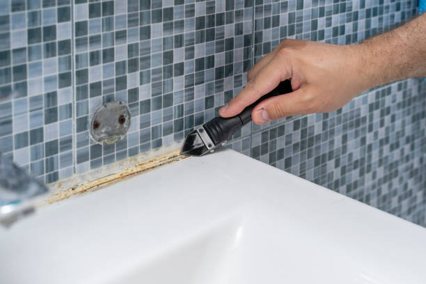 Best DIY Mold Remediation Support Services in Man, IL
