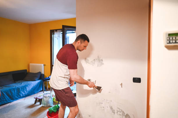 Best Industrial Mold Remediation in Man, IL