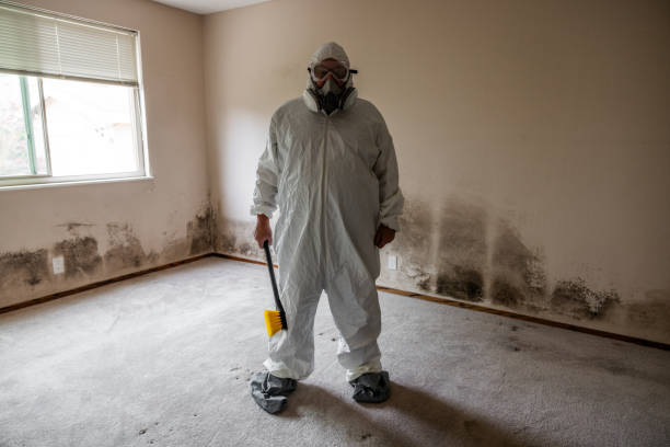 Best Emergency Mold Remediation in Man, IL
