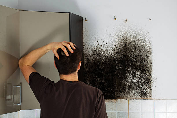 Best Crawl Space Mold Remediation in Man, IL